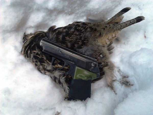 Grouse.jpg